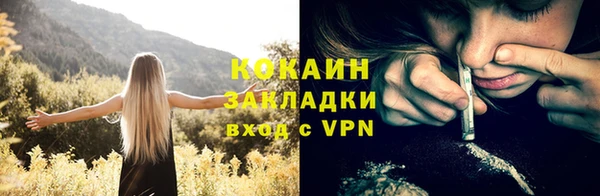 дживик Аркадак