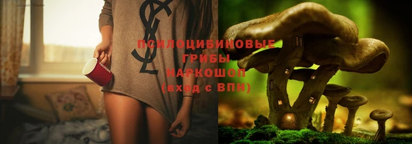 дживик Аркадак