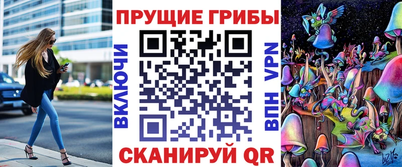 omg ссылки Николаевск-на-Амуре Псилоцибиновые грибы Psilocybine cubensis